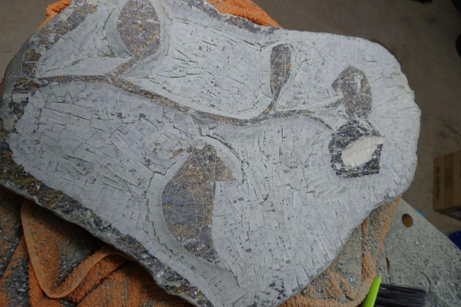 Das Relief der Rosen.
